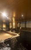 Туры в отель Dormy Inn Kawasaki Natural Hot Spring