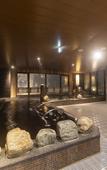 Туры в отель Dormy Inn Kawasaki Natural Hot Spring