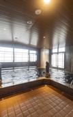 Туры в отель Dormy Inn Kawasaki Natural Hot Spring