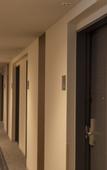 Туры в отель Dormy Inn Kawasaki Natural Hot Spring
