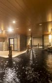 Туры в отель Dormy Inn Kawasaki Natural Hot Spring