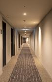 Туры в отель Dormy Inn Kawasaki Natural Hot Spring