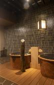 Туры в отель Dormy Inn Kawasaki Natural Hot Spring