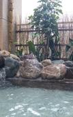 Туры в отель Dormy Inn Kawasaki Natural Hot Spring