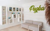 Туры в отель San Lorenzo Boutique Hotel & SPA