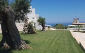 Туры в отель San Lorenzo Boutique Hotel & SPA