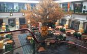 Туры в отель Amber Theme Hotel