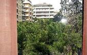 Туры в отель Ambra Palace Hotel Pescara