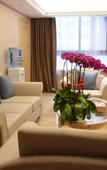 Туры в отель Vienna Hotel (Xinjin Old Pier, Liujianian Metro Station)