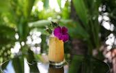 Туры в отель Zee Luxury Boutique Hotel