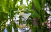 Туры в отель Zee Luxury Boutique Hotel