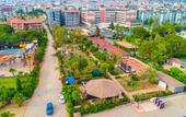 Туры в отель Clover Magic Garden Beach