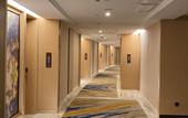 Туры в отель Venus Royal Hotels (Tongcheng Tongguo Xiushui store)