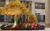 Туры в отель Venus Royal Hotels (Tongcheng Tongguo Xiushui store)