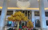 Туры в отель Venus Royal Hotels (Tongcheng Tongguo Xiushui store)