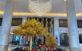 Туры в отель Venus Royal Hotels (Tongcheng Tongguo Xiushui store)