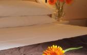 Туры в отель Hotel Excelsior Le Terrazze