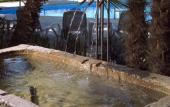 Туры в отель Hotel Excelsior Le Terrazze