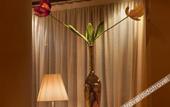 Туры в отель Gran Paradiso Hotel Spa