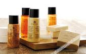 Туры в отель Gran Paradiso Hotel Spa