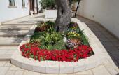 Туры в отель Hotel Victoria