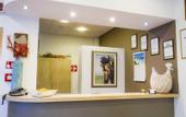 Туры в отель Hotel Domomea