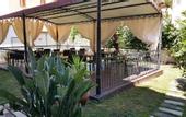 Туры в отель Hotel Domomea