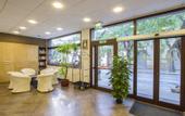 Туры в отель Hotel Domomea