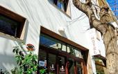 Туры в отель Hotel Domomea