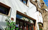 Туры в отель Hotel Domomea