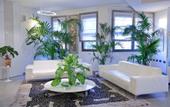 Туры в отель Continental Urban Art Hotel