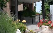 Туры в отель Continental Urban Art Hotel