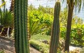 Туры в отель Hotel Villa Cipressi - by R Collection Hotels