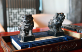 Туры в отель Wellton International Hotel
