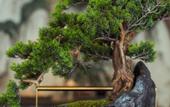 Туры в отель Wellton International Hotel