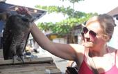 Туры в отель Dewi Sinta Hotel and Restaurant