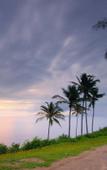 Туры в отель Dolcemare Resort