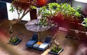 Туры в отель Grand Rohan Jogja