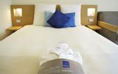 Туры в отель Novotel Pau Pyrenees