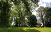 Туры в отель Chateau de Bellefontaine