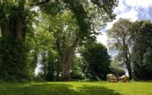 Туры в отель Chateau de Bellefontaine