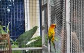 Туры в отель Tachang Airport Hotel