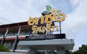 Туры в отель Tachang Airport Hotel