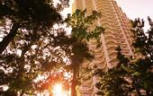 Туры в отель Kamogawa Grand Tower