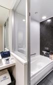 Туры в отель Daiwa Roynet Hotel Toyama Station