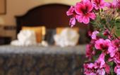 Туры в отель Hotel Palacio de Hemingway