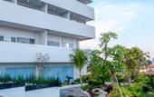 Туры в отель Golden Tulip Springhill Lampung