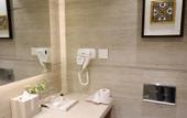 Туры в отель Bellevue Sarovar Premiere Junagadh