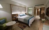 Туры в отель Bellevue Sarovar Premiere Junagadh