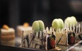 Туры в отель The Residency Towers Puducherry